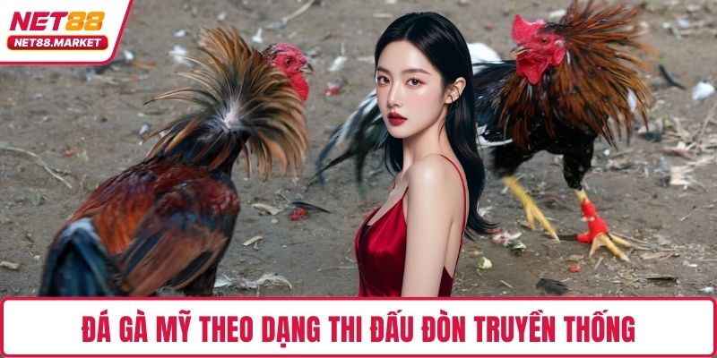 Đá gà Mỹ theo dạng thi đấu đòn truyền thống