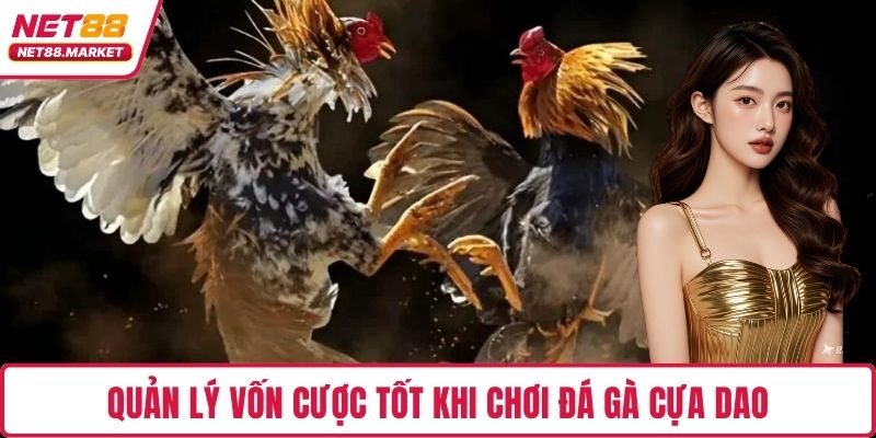 Quản lý vốn cược tốt khi chơi đá gà cựa dao