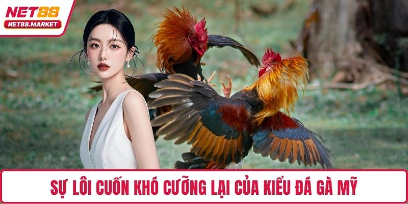 Sự lôi cuốn khó cưỡng lại của kiểu đá gà Mỹ