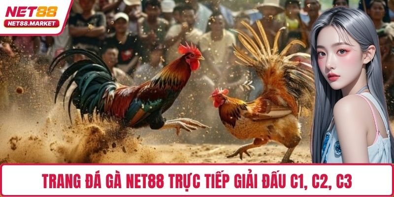 Trang đá gà NET88 trực tiếp giải đấu C1, C2, C3